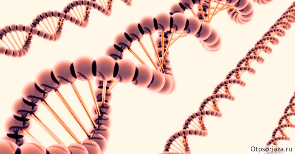 Генетическая теория заболевания псориазом генетическая теория