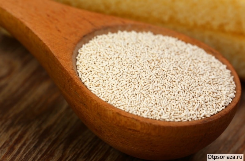 Дрожжи Дрожжи