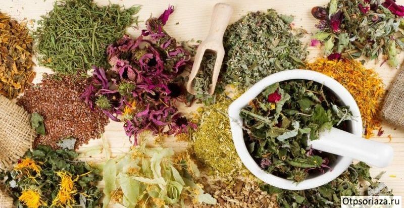 Травяной сбор Травяной сбор