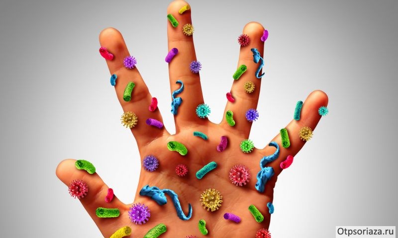 гигиена Гигиена