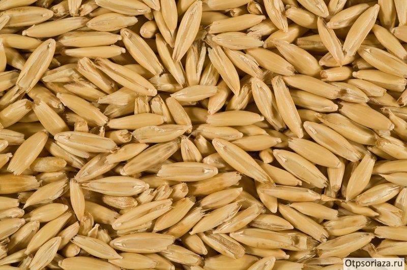 овсянка Овсяные зерна