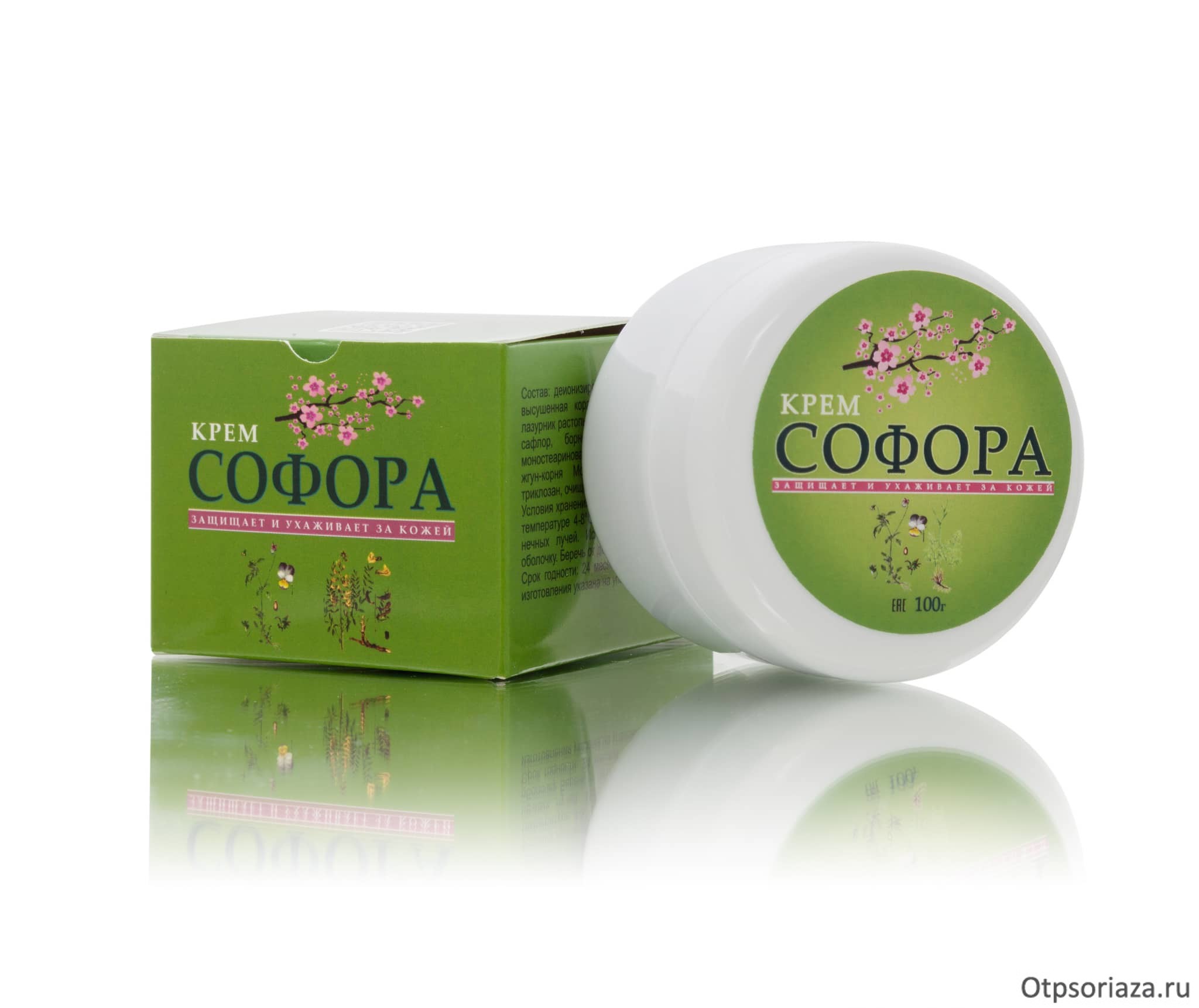 софора-min Софора