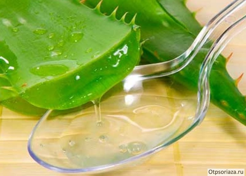 сок Сок каланхоэ