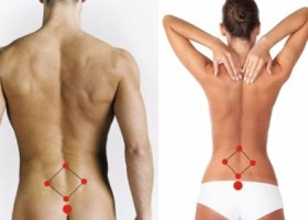 Где находится копчик у человека, фото Где находится копчик у человека, фото