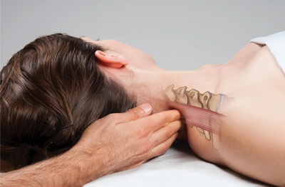 Постизометрическая релаксация Постизометрическая релаксация