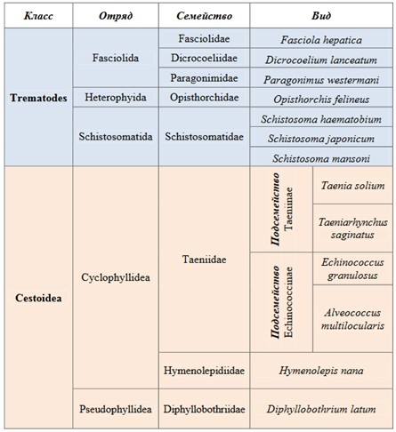 Представители типа Плоские черви, имеющие медицинское значение Представители типа Плоские черви, имеющие медицинское значение