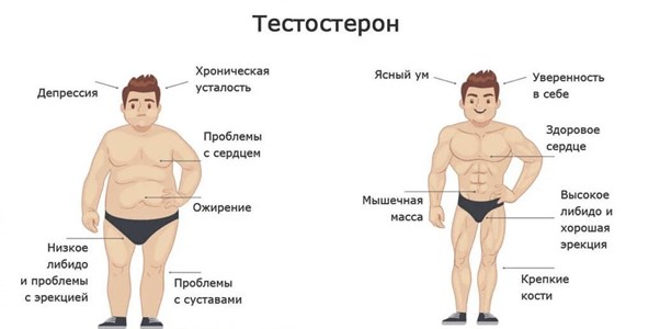 Анализ на тестостерон у мужчин Анализ на тестостерон у мужчин