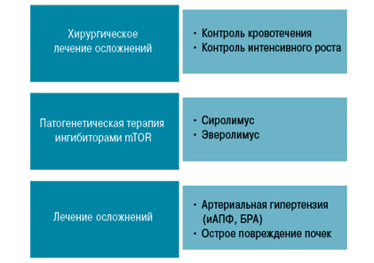 Ангиомиолипома почки Ангиомиолипома почки