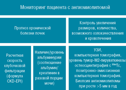 Ангиомиолипома почки Ангиомиолипома почки