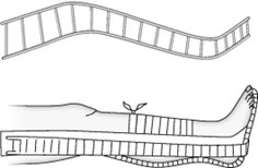 Первая помощь Первая помощь