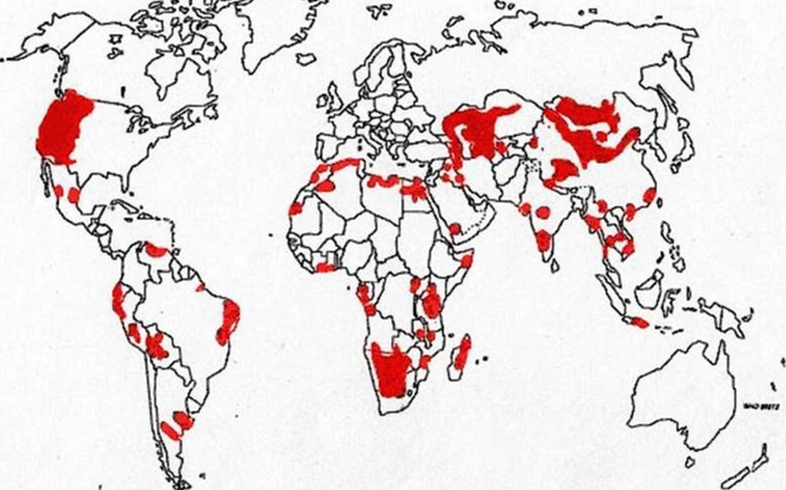 chuma-bubonnaya-chuma karta Чума (бубонная чума)