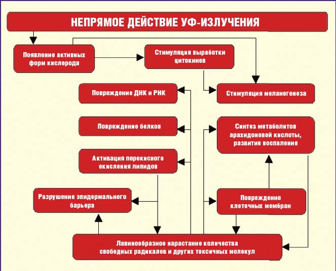 colnechnyj-ozhog deistvie1 Cолнечный ожог