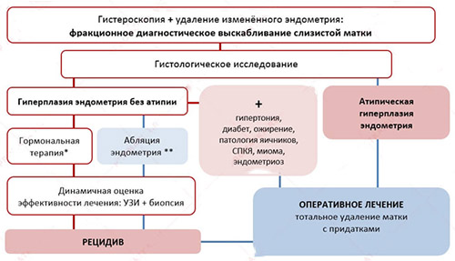 Гиперплазия эндометрия Гиперплазия эндометрия