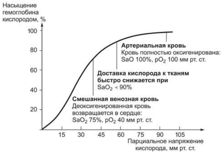 gipoksiya-golovnogo-mozga grafik Гипоксия головного мозга
