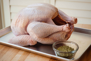 Индюшатина Индюшатина