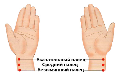 Правильное положение пальцев при измерении пульса Правильное положение пальцев при измерении пульса