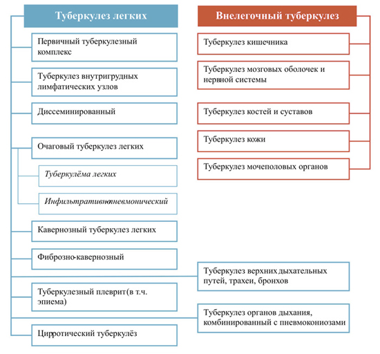 Классификация туберкулезов Классификация туберкулезов