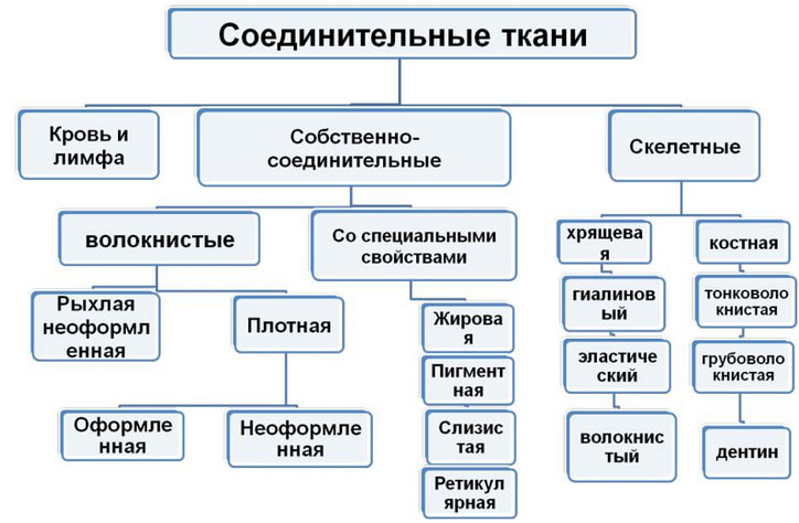 kollagenoz 1 Коллагеноз