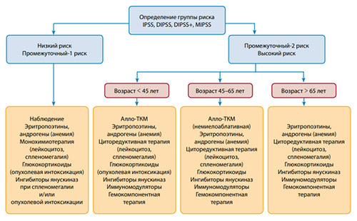 Миелофиброз Миелофиброз