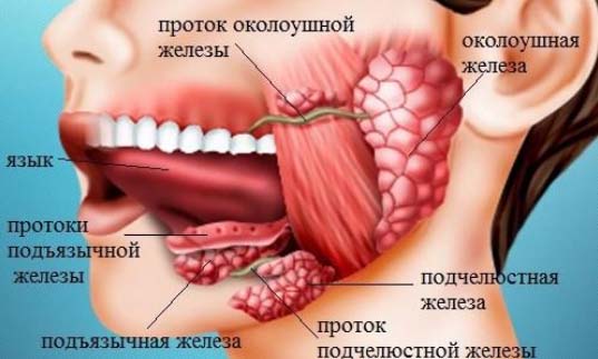 mukoczele 1 Мукоцеле