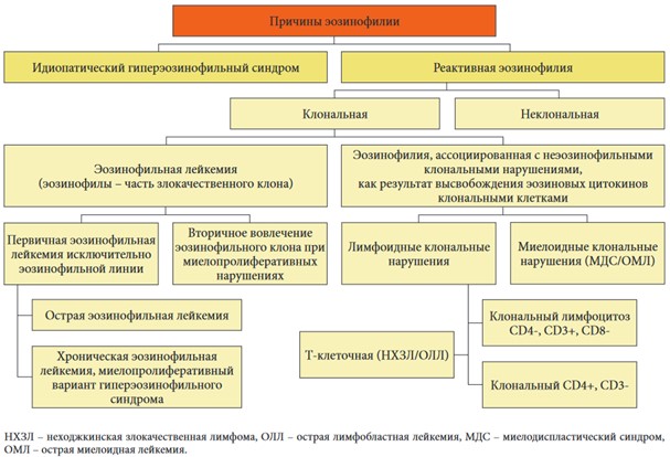 Причины повышения эозинофилов Причины повышения эозинофилов