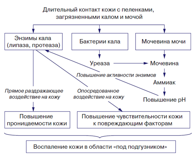 pelenochnyj-dermatit sxema Пеленочный дерматит