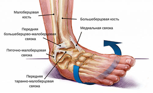 podvyvih-shejnog…podvyvih-atlanta golenostop Подвывих шейного позвонка (подвывих атланта)