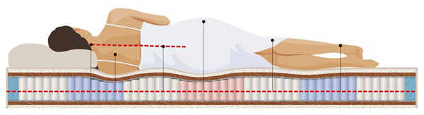 Правильное положение тела для здорового сна Правильное положение тела для здорового сна