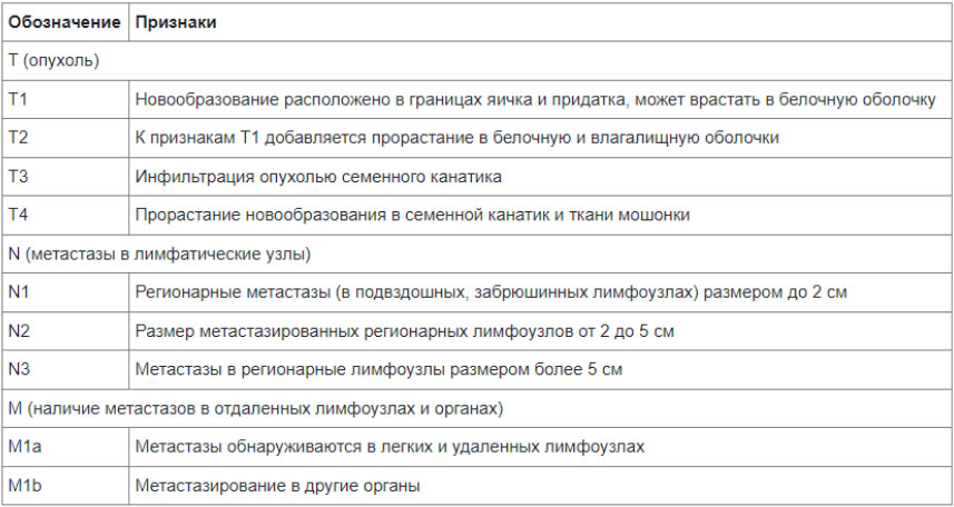 rak-yaichek 4 Рак яичек
