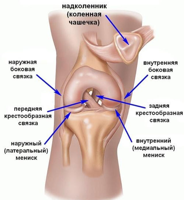 razryv-svyazok koleno Разрыв связок