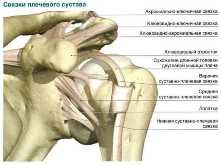 razryv-svyazok plecevoi Разрыв связок