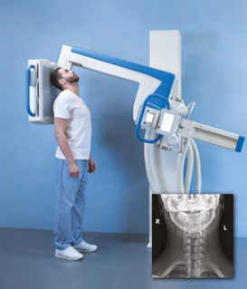 Шейный отдел позвоночника в прямой задней проекции Шейный отдел позвоночника в прямой задней проекции