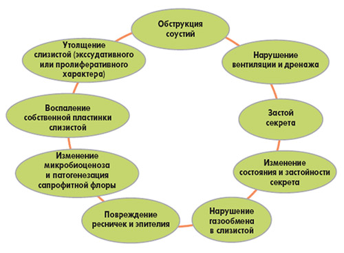 Риносинусит Риносинусит