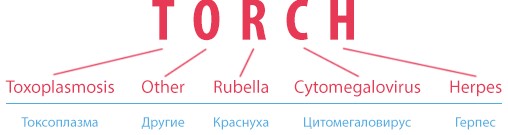 Что входит в анализ на TORCH-инфекции Что входит в анализ на TORCH-инфекции