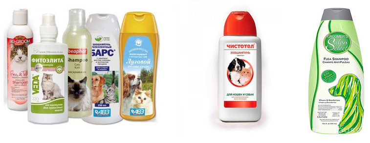 ukusy-bloh 11 Укусы блох