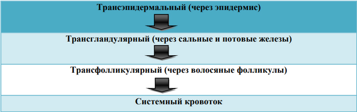 ukusy-bloh 16 Укусы блох
