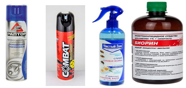 ukusy-bloh 17 Укусы блох