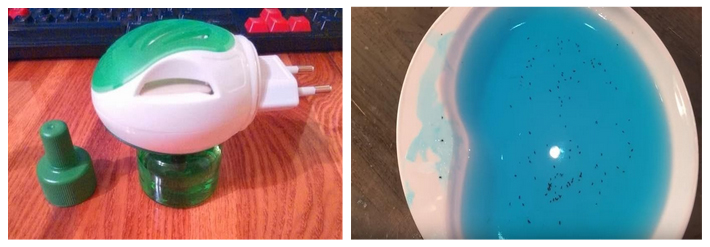 ukusy-bloh 20 Укусы блох