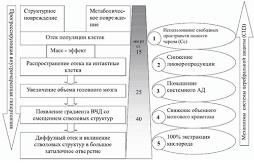 vnutricherepnaya-gipertenziya mexanizm Внутричерепная гипертензия
