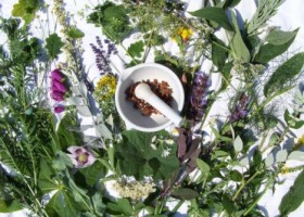 Выводы Выводы