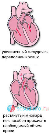 246485648486