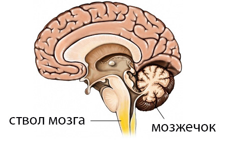 331318