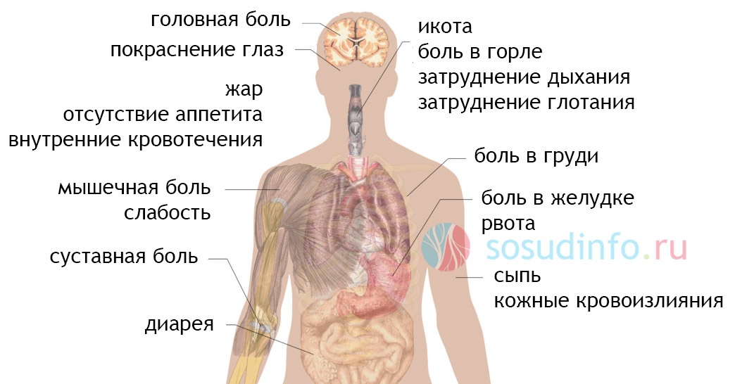 4684864864468648