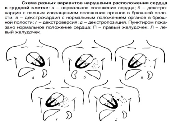 48486684864648