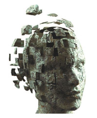 52488846