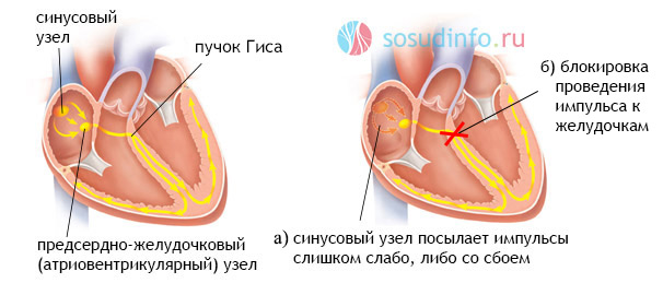 54646486