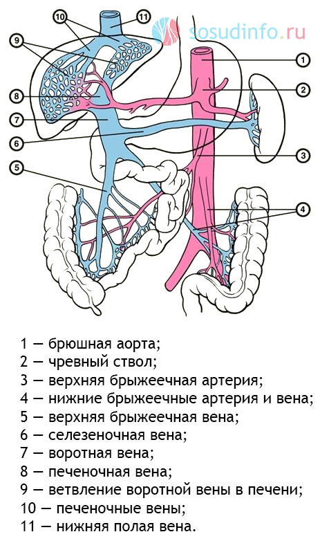 5464684648