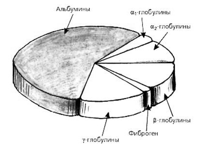 546486846486