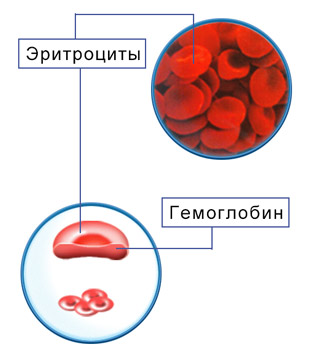 5468468