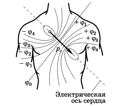 5468468648